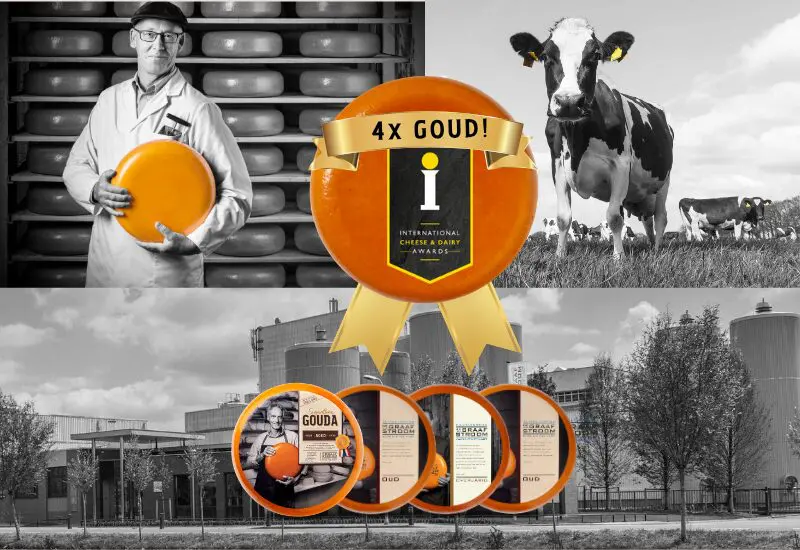4x Goud bij de International Cheese & Dairy Awards